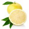Vedini grapefruit white essential oil