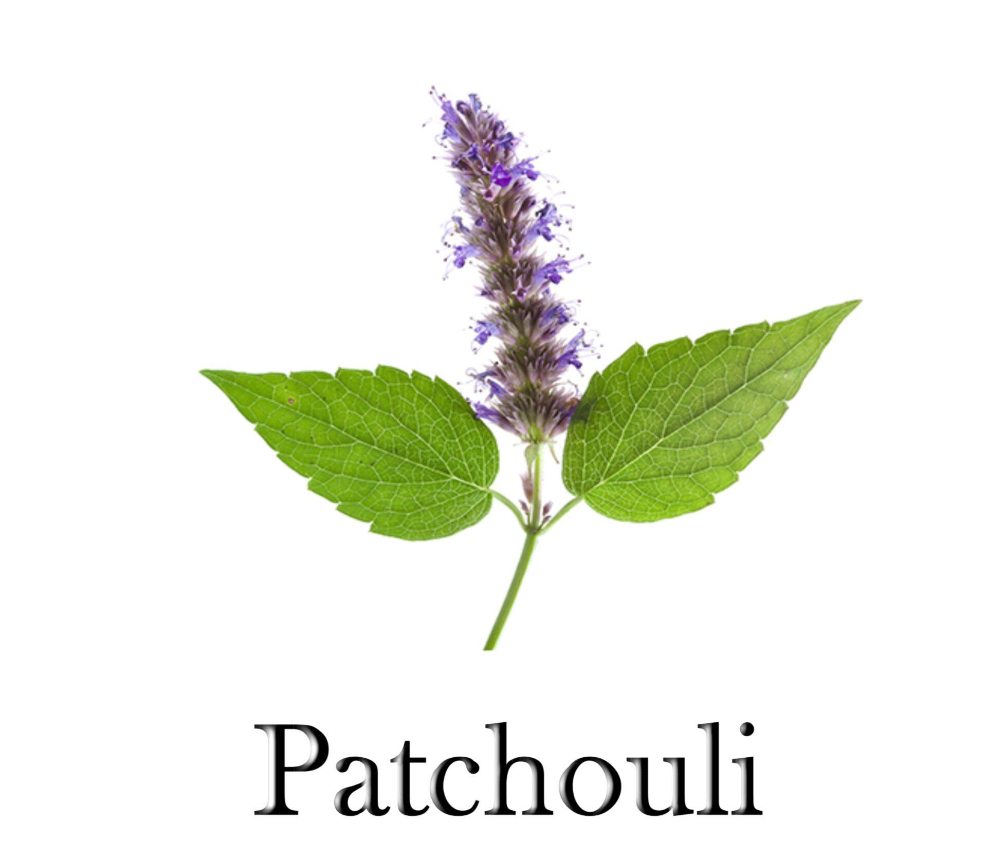 Patchouli 2024 near me