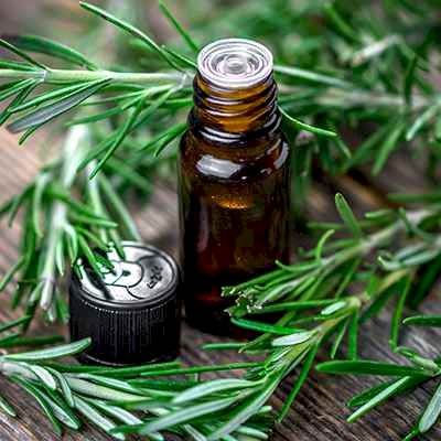 Rosemary Oil for Skin