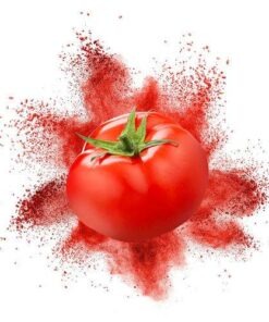 Spray-Dried-Tomato-Powder