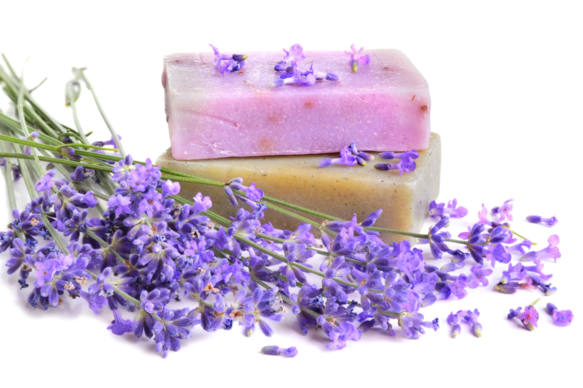 Lavender Soap Recipe