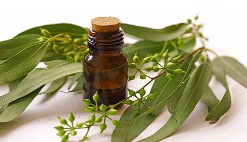 Essential Oils for Sciatica Pain
