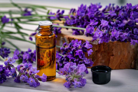 Lavender Essential Oil For Hair