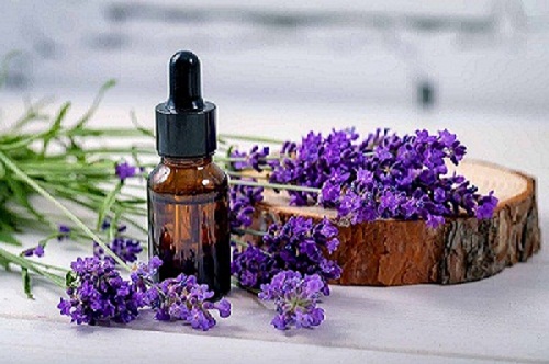 Lavender Essential Oil for Anxiety