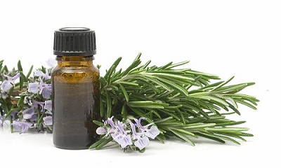Rosemary Oil for Hair Loss