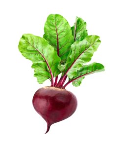 Beet Root Natural Extracts