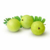 Amla Natural Extracts