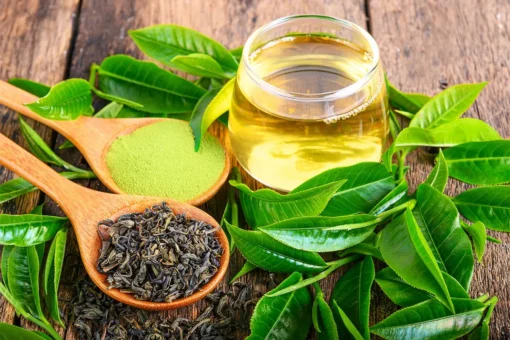 Green Tea Natural Extracts