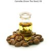 Green Tea Oil (Camellia)