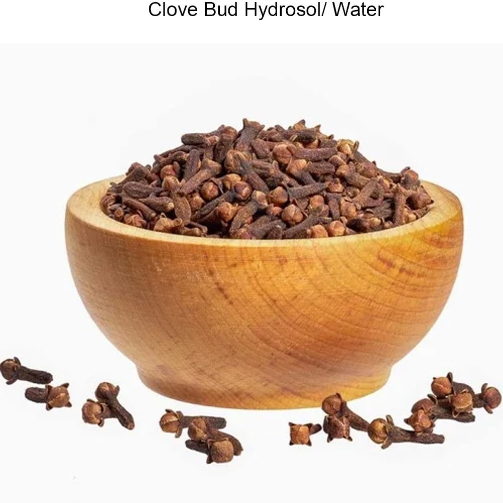 Clove Bud Hydrosol Water By Vedini | JINDEAL INC