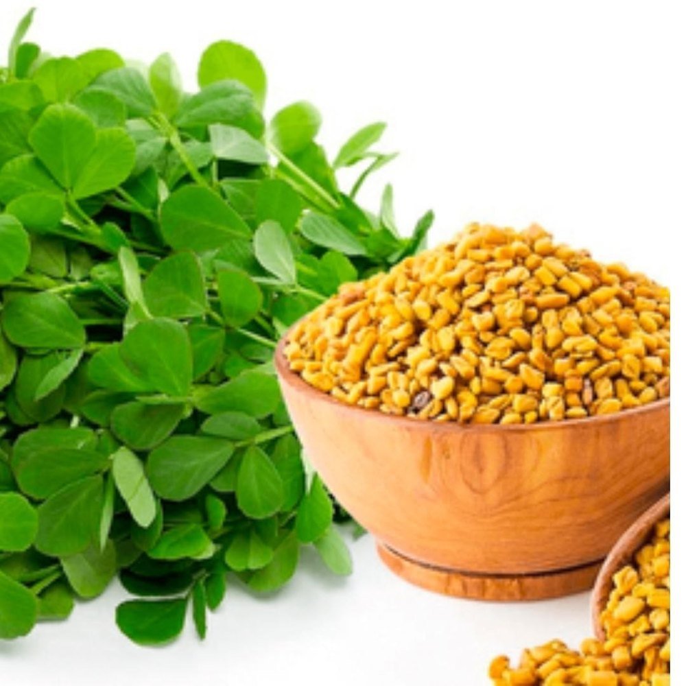 Fenugreek Natural Extracts By Vedini JINDEAL INC