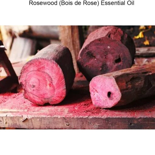 Rosewood (Bois de Rose) Essential Oil