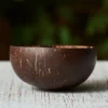 Coconut Shell Bowl