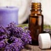 Lavender Kashmir Fragrance oil