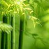 Bamboo leaf