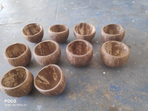 Coconut Shell Bowl Halves