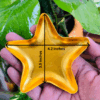 STAR URLI