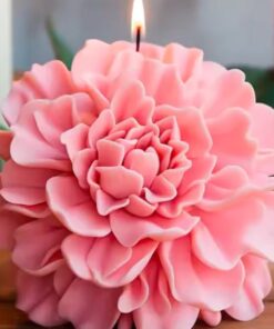 Vedini Carnation Big WCM692