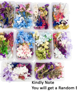 Vedini Dry Flowers Assorted Box