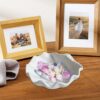 Conch Wide Shell Mould