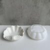 Conch Wide Shell Mould