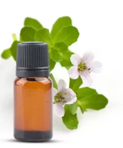 Kumkumadi Oil (Tailam) – Ayurvedic Radiance Elixir